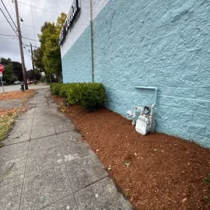 Commercial Landscaping Services in Seattle